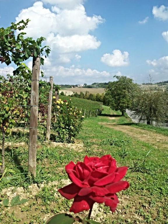 B&B Vigneto Pardom Montiglio Dış mekan fotoğraf