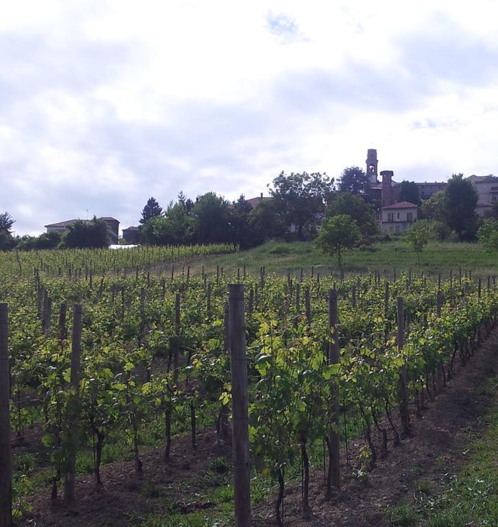 B&B Vigneto Pardom Montiglio Dış mekan fotoğraf