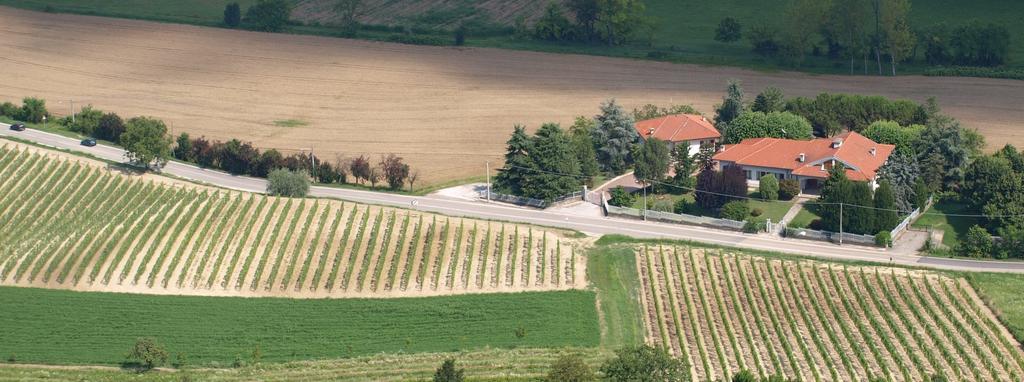 B&B Vigneto Pardom Montiglio Dış mekan fotoğraf